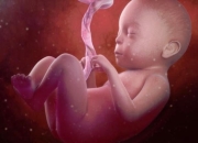 THEO DÕI VÀ ĐÁNH GIÁ SỨC KHỎE THAI NHI BẰNG MÁY THEO DÕI SẢN KHOA